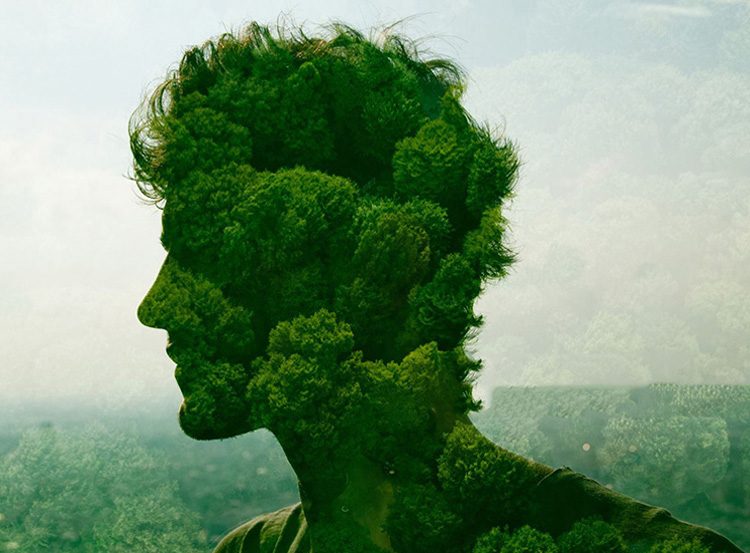 Portrait of Rashed Kabir